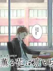 讨论样本 05 的头像，老戏院座椅纹样